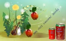 wild  natural   soft   drinks  for health(manufacturer)