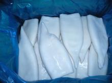 frozen squid tubes