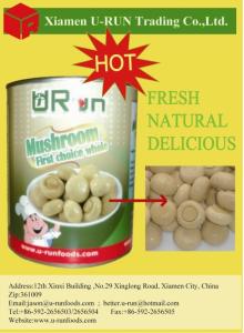 Canned mushroom whole