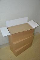  Fish   Block  Carton