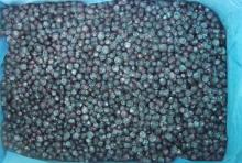 Frozen blueberry