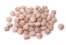 PIGEON PEA SEED
