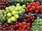 Grape Seed P.E