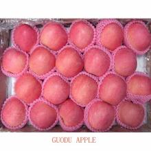 Fuji  apple /Chinese  red   apple /2012  apple 