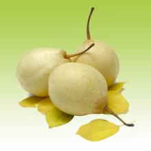 2012 crop Chinese Ya pear fresh fruit