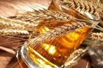 Beer Barley
