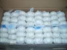 Fresh Garlic and a variety of vegetables available