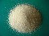  feed   gelatin 