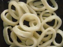 squid circle