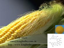 Corn  Silk  Extract