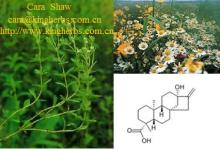 Steviosides80%, 85%, 90%, 95% HPLC Stevia Extract