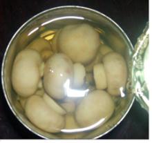 canned mushroom 2840g(1850g)--whole