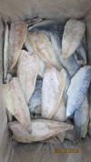 Pacific Mackerel Fillet