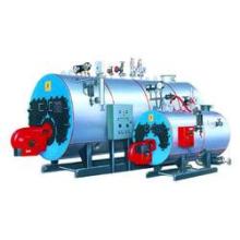 gas fired boiler