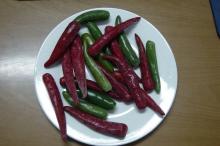 iqf Jinta chilli