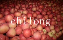 fuji apple