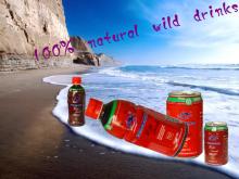500ml  canned   soft   drinks  beverage