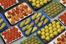 China Made Fruit Food PP Tray