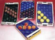 China Made High Quality PVC Tray For Fruit