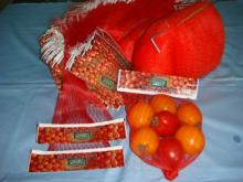 China Made High Quality Many Sizes Plastic Mesh Net Bag
