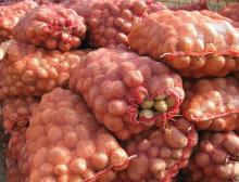 new crop fresh bulk potato