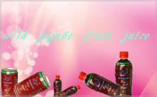 natural 500ml wild beverage-low fat