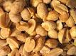Fresh Raw Cashew Nuts in Shell