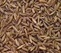caraway seeds