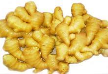 Ginger