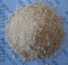 Bone  Glue 