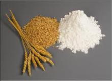 vital wheat gluten