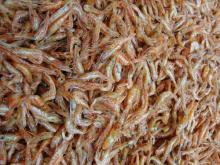 Dried  River  Shrimp