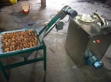 Newly design walnut sheller