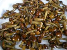 Pholiota nameko mushroom in brine