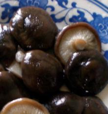 supply shiitake mushroom in brine