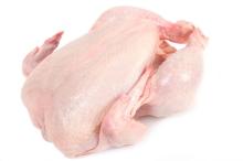 Whole Frozen Chicken Meat