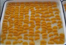 Mandarin Oranges Segments 11oz/104oz