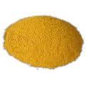 GLUTTEN MEAL