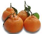 FRESH FRUITS