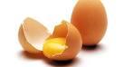 FRESH CHICKEN EGGS FOR SALE