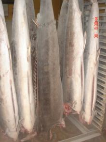 MARLIN
