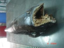 frozen marlin