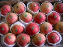  jonagold   apple s