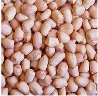 best peanuts kernels