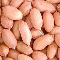 peanuts kernel