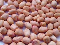 peanut kernels