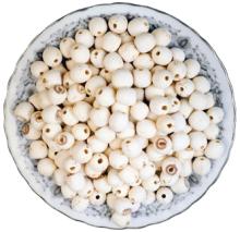 lotus seed