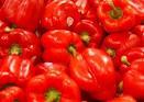 FRESH RED PEPPER