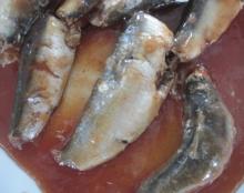 Canned sardine in tomato sauce