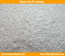  Sticky   rice 